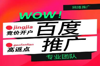 深度解析：百度竞价包年推广的五大成功案例